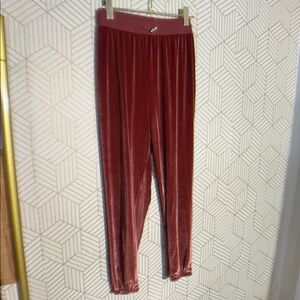 Velvet Brick Red Pants